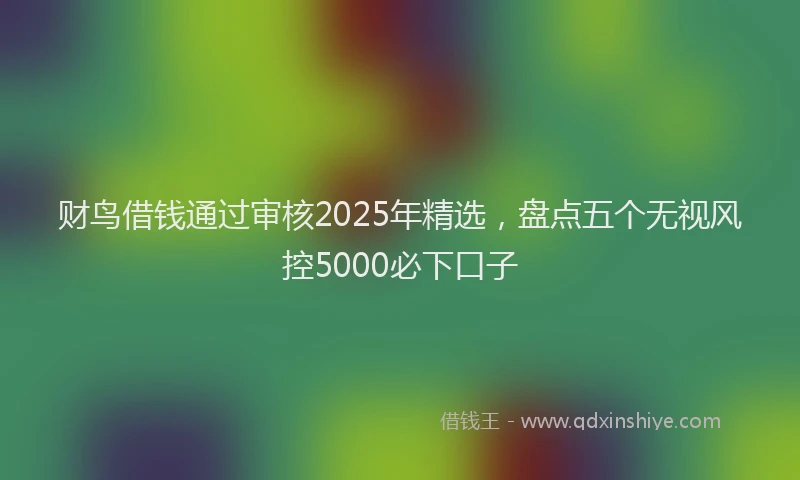 财鸟借钱通过审核2025年精选，盘点五个无视风控5000必下口子