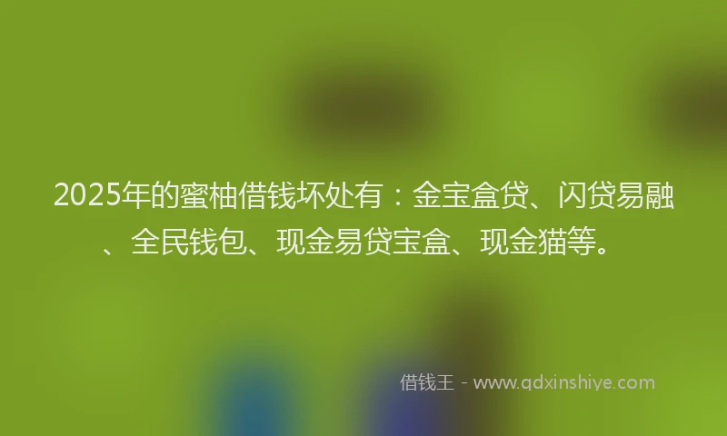 2025年的蜜柚借钱坏处有：金宝盒贷、闪贷易融、全民钱包、现金易贷宝盒、现金猫等。