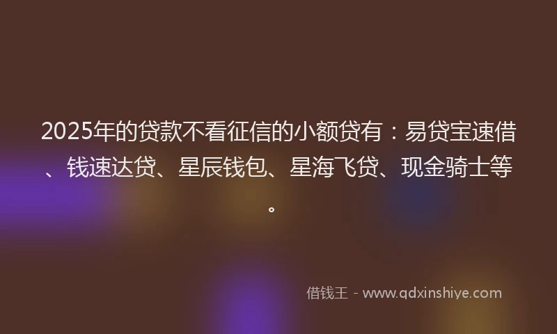 2025年的贷款不看征信的小额贷有：易贷宝速借、钱速达贷、星辰钱包、星海飞贷、现金骑士等。