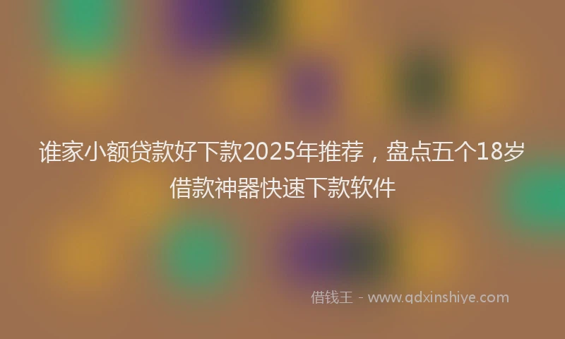 谁家小额贷款好下款2025年推荐，盘点五个18岁借款神器快速下款软件