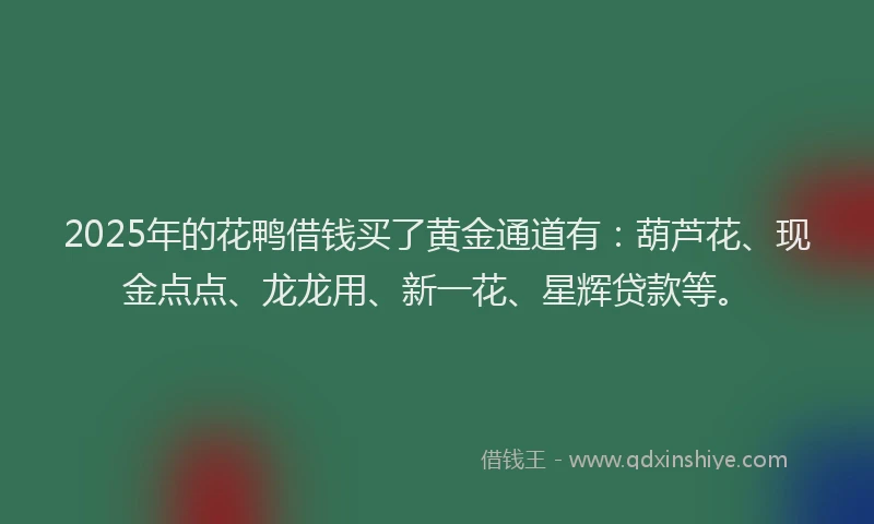 2025年的花鸭借钱买了黄金通道有：葫芦花、现金点点、龙龙用、新一花、星辉贷款等。
