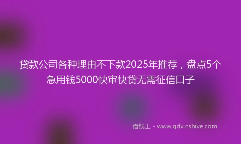 贷款公司各种理由不下款2025年推荐，盘点5个急用钱5000快审快贷无需征信口子