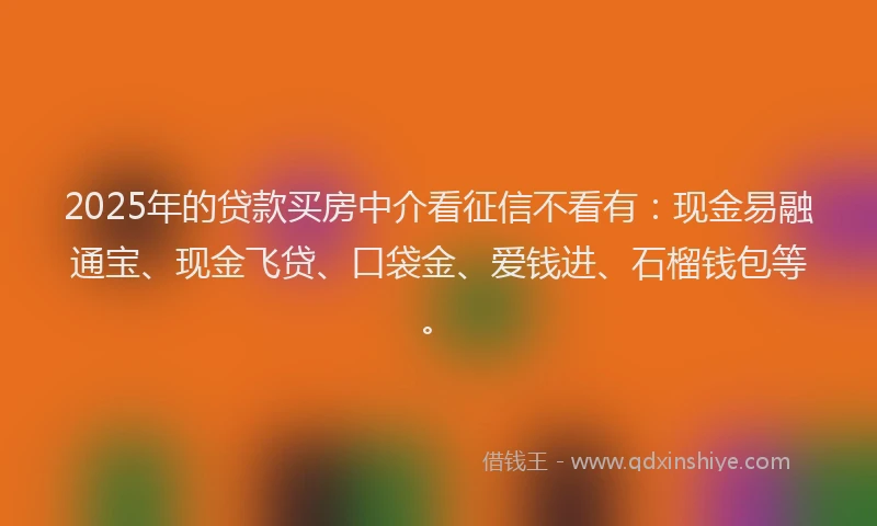 2025年的贷款买房中介看征信不看有：现金易融通宝、现金飞贷、口袋金、爱钱进、石榴钱包等。