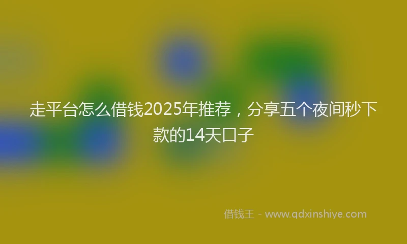 走平台怎么借钱2025年推荐，分享五个夜间秒下款的14天口子