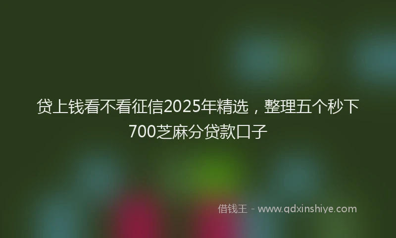 贷上钱看不看征信2025年精选，整理五个秒下700芝麻分贷款口子