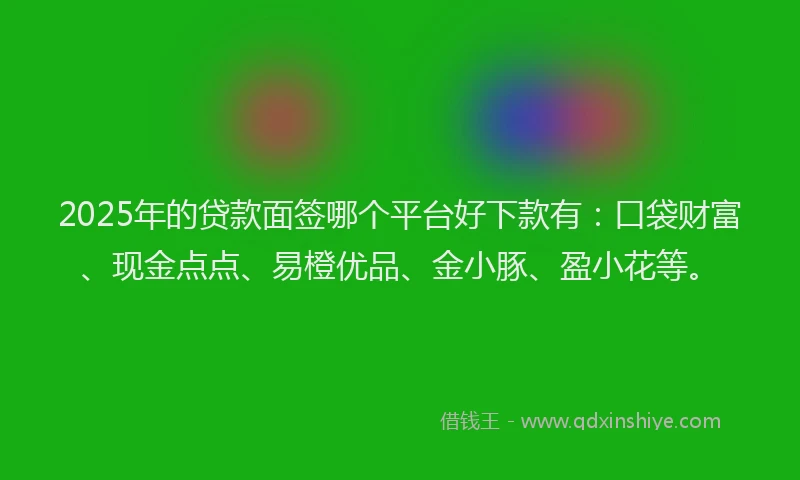 2025年的贷款面签哪个平台好下款有：口袋财富、现金点点、易橙优品、金小豚、盈小花等。