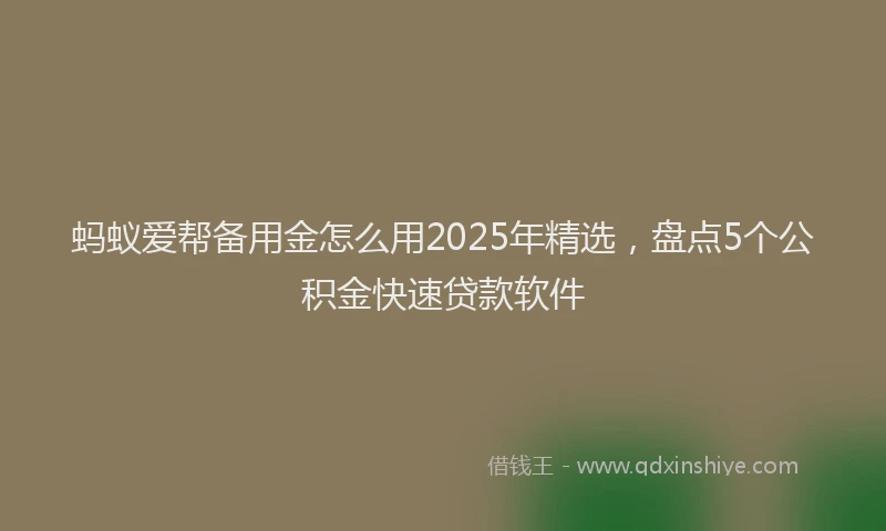 蚂蚁爱帮备用金怎么用2025年精选，盘点5个公积金快速贷款软件
