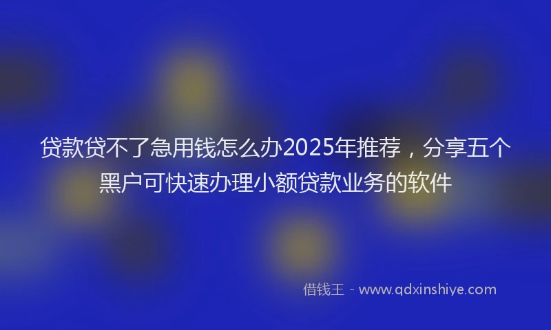 贷款贷不了急用钱怎么办2025年推荐，分享五个黑户可快速办理小额贷款业务的软件