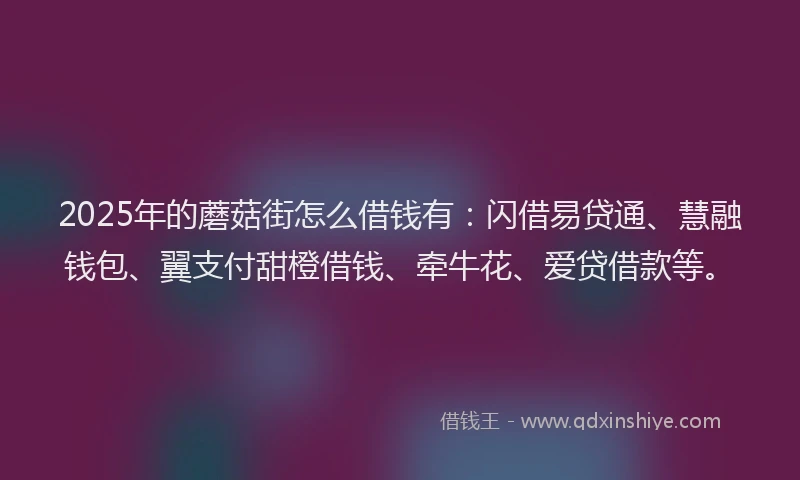 2025年的蘑菇街怎么借钱有：闪借易贷通、慧融钱包、翼支付甜橙借钱、牵牛花、爱贷借款等。