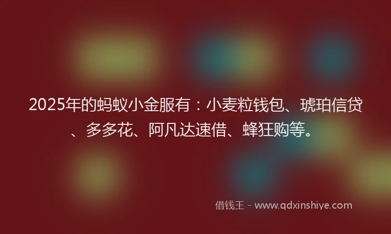 2025年的蚂蚁小金服有：小麦粒钱包、琥珀信贷、多多花、阿凡达速借、蜂狂购等。