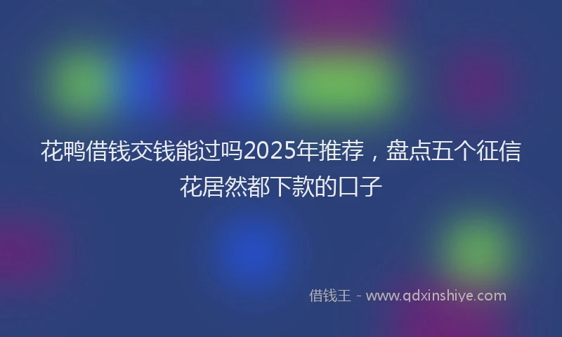 花鸭借钱交钱能过吗2025年推荐，盘点五个征信花居然都下款的口子