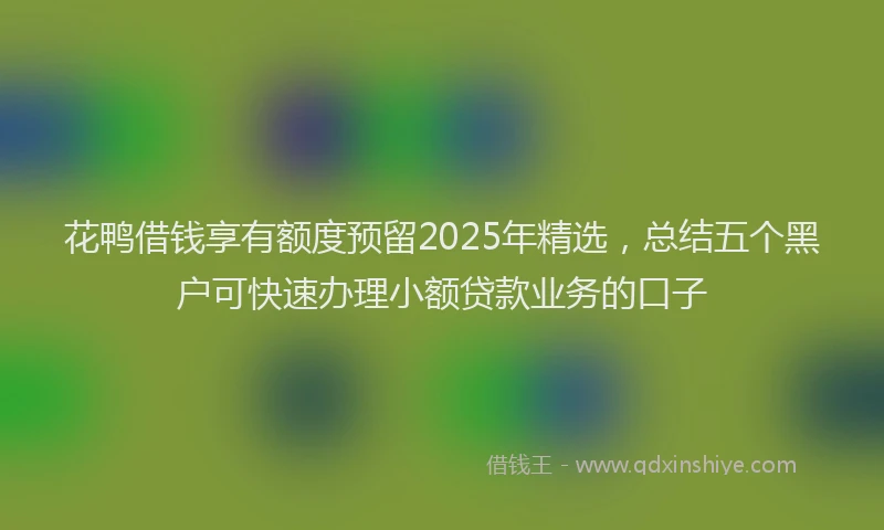 花鸭借钱享有额度预留2025年精选，总结五个黑户可快速办理小额贷款业务的口子