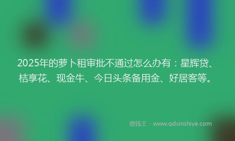 2025年的萝卜租审批不通过怎么办有：星辉贷、桔享花、现金牛、今日头条备用金、好居客等。