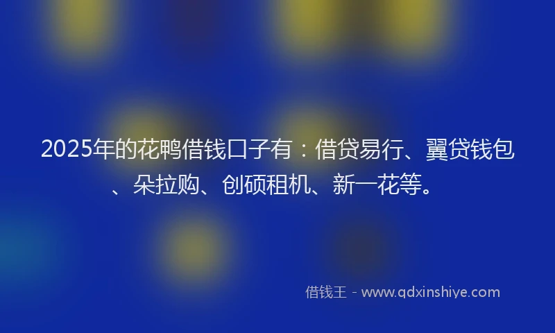 2025年的花鸭借钱口子有：借贷易行、翼贷钱包、朵拉购、创硕租机、新一花等。