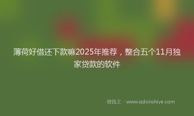 薄荷好借还下款嘛2025年推荐，整合五个11月独家贷款的软件
