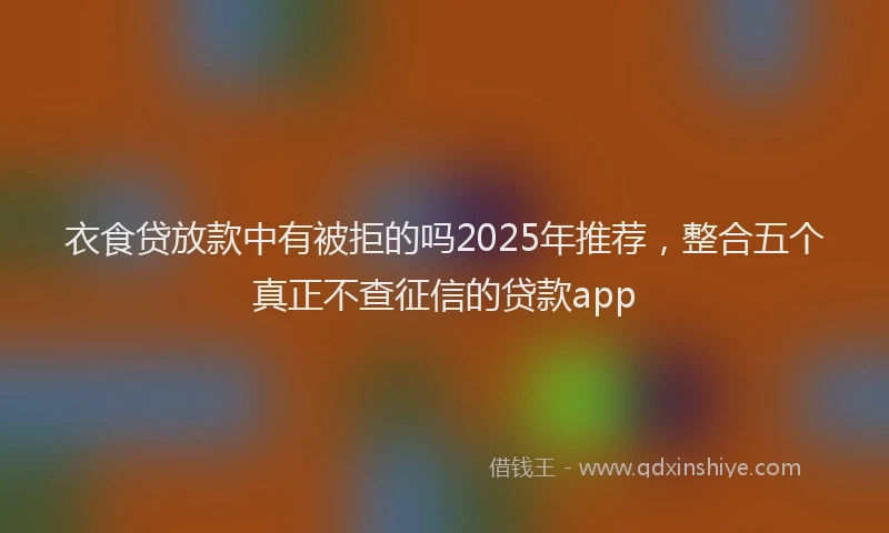 衣食贷放款中有被拒的吗2025年推荐，整合五个真正不查征信的贷款app