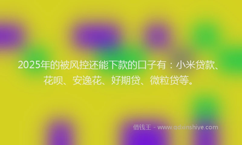 2025年的被风控还能下款的口子有：小米贷款、花呗、安逸花、好期贷、微粒贷等。
