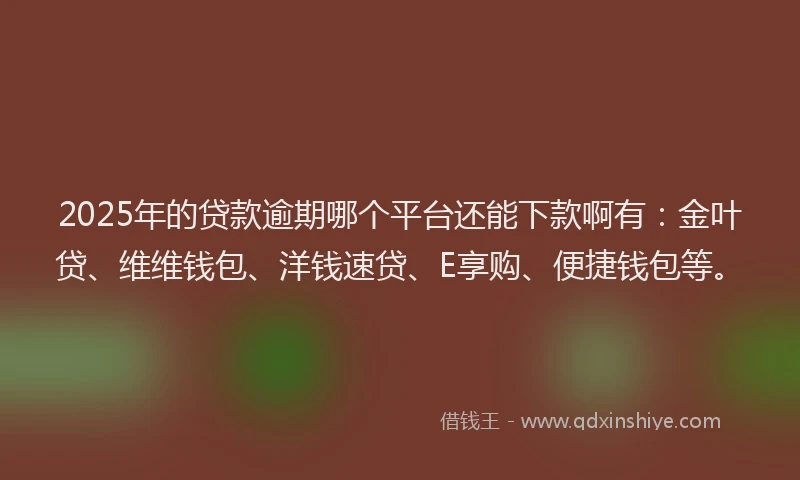 2025年的贷款逾期哪个平台还能下款啊有：金叶贷、维维钱包、洋钱速贷、E享购、便捷钱包等。