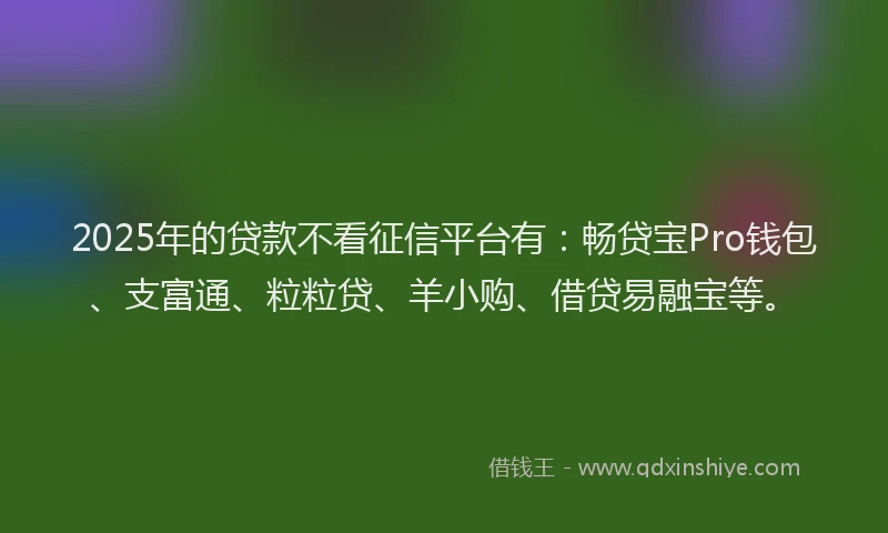 2025年的贷款不看征信平台有：畅贷宝Pro钱包、支富通、粒粒贷、羊小购、借贷易融宝等。