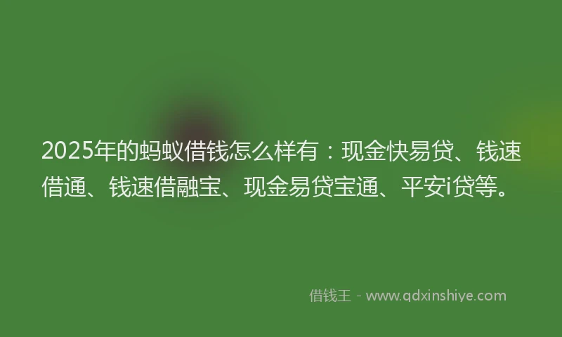 2025年的蚂蚁借钱怎么样有：现金快易贷、钱速借通、钱速借融宝、现金易贷宝通、平安i贷等。