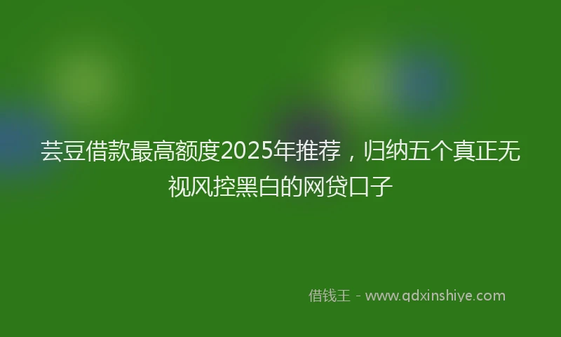 芸豆借款最高额度2025年推荐，归纳五个真正无视风控黑白的网贷口子