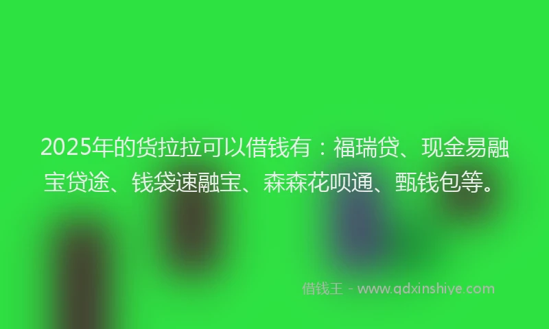 2025年的货拉拉可以借钱有：福瑞贷、现金易融宝贷途、钱袋速融宝、森森花呗通、甄钱包等。