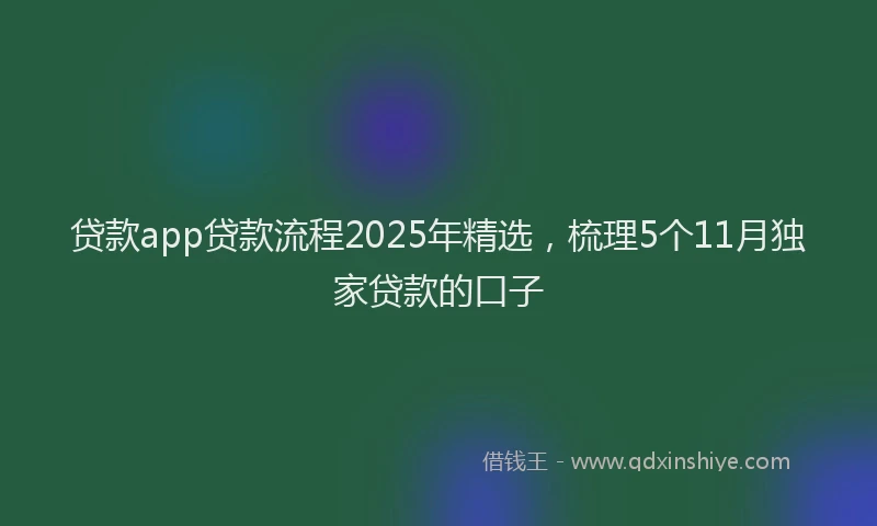 贷款app贷款流程2025年精选，梳理5个11月独家贷款的口子