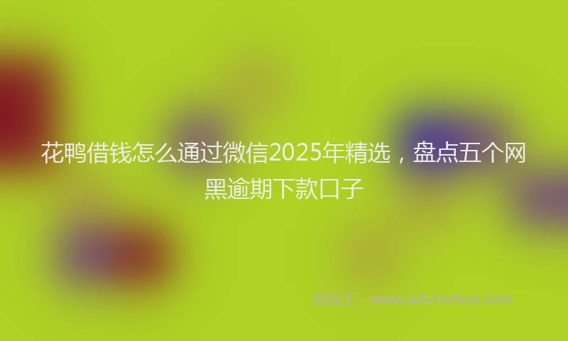 花鸭借钱怎么通过微信2025年精选，盘点五个网黑逾期下款口子