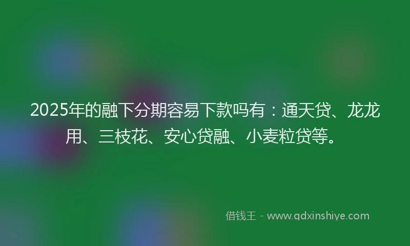 2025年的融下分期容易下款吗有：通天贷、龙龙用、三枝花、安心贷融、小麦粒贷等。