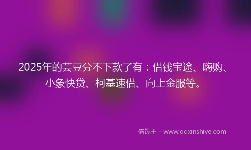2025年的芸豆分不下款了有：借钱宝途、嗨购、小象快贷、柯基速借、向上金服等。
