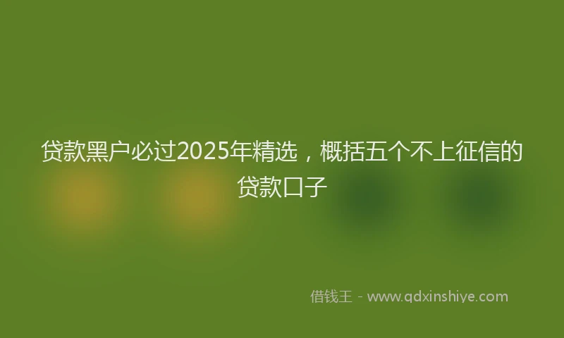 贷款黑户必过2025年精选，概括五个不上征信的贷款口子