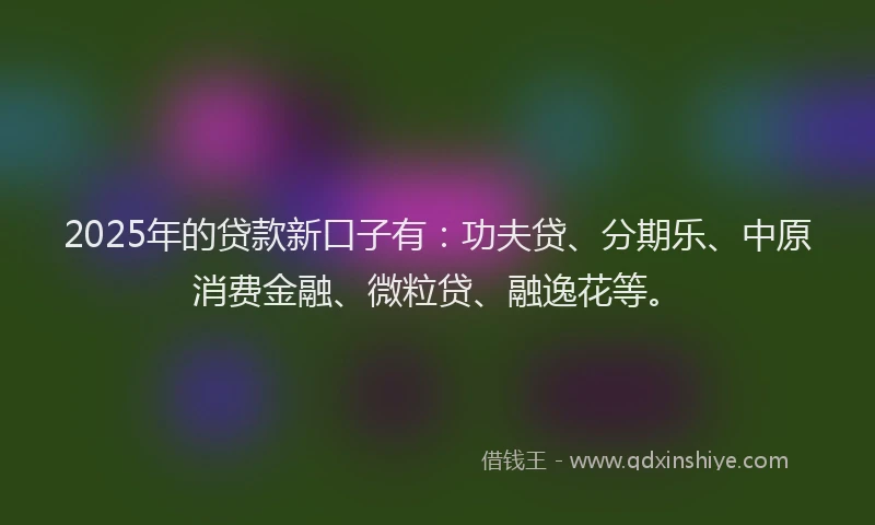 2025年的贷款新口子有：功夫贷、分期乐、中原消费金融、微粒贷、融逸花等。