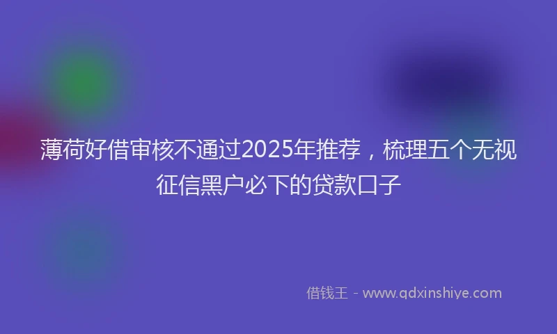 薄荷好借审核不通过2025年推荐，梳理五个无视征信黑户必下的贷款口子