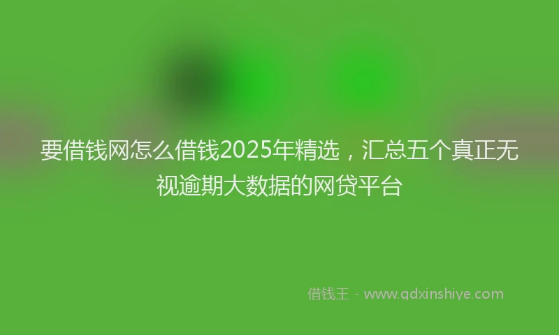 要借钱网怎么借钱2025年精选，汇总五个真正无视逾期大数据的网贷平台