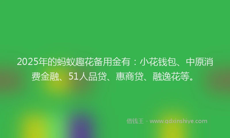 2025年的蚂蚁趣花备用金有：小花钱包、中原消费金融、51人品贷、惠商贷、融逸花等。