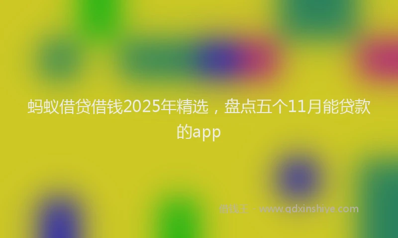 蚂蚁借贷借钱2025年精选，盘点五个11月能贷款的app