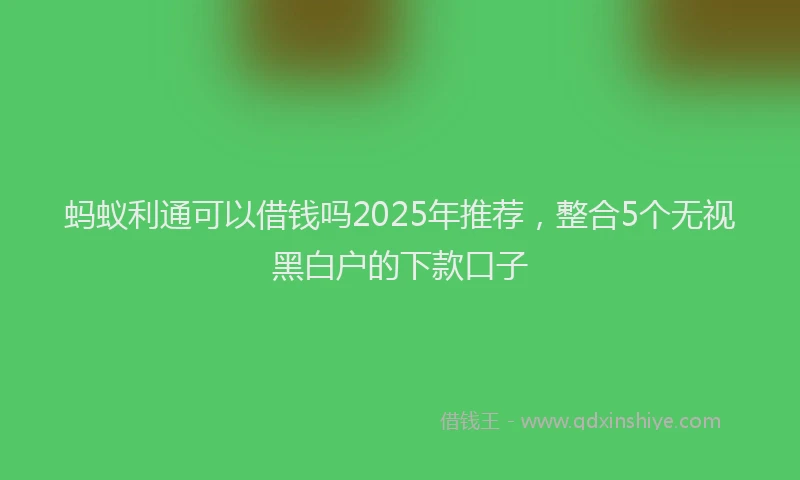 蚂蚁利通可以借钱吗2025年推荐，整合5个无视黑白户的下款口子