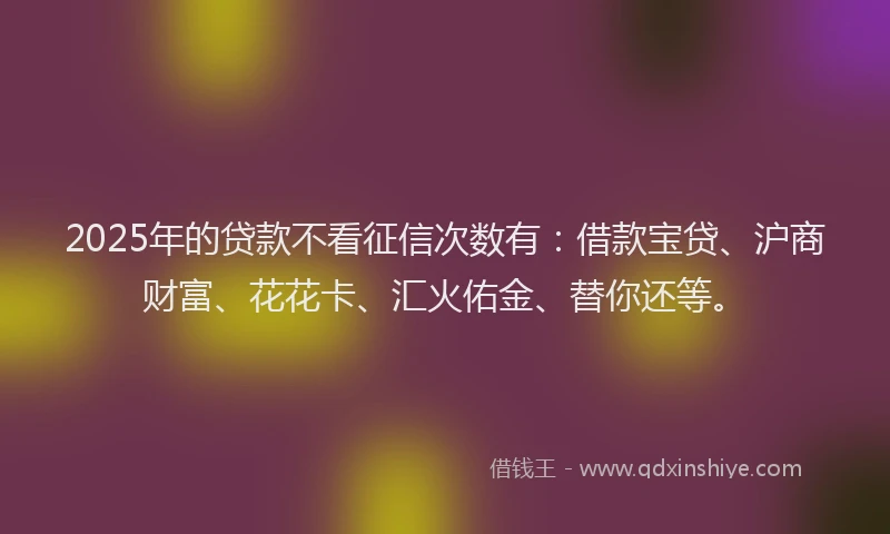 2025年的贷款不看征信次数有：借款宝贷、沪商财富、花花卡、汇火佑金、替你还等。