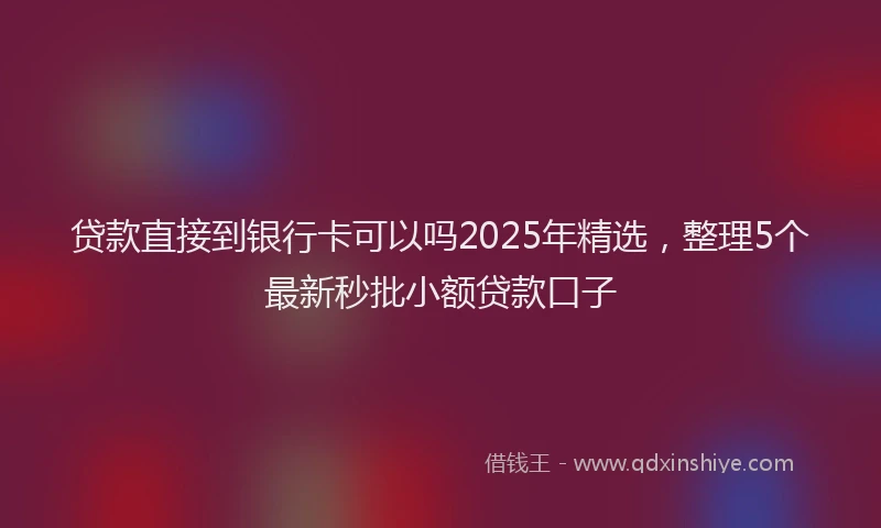 贷款直接到银行卡可以吗2025年精选，整理5个最新秒批小额贷款口子