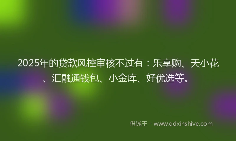 2025年的贷款风控审核不过有：乐享购、天小花、汇融通钱包、小金库、好优选等。