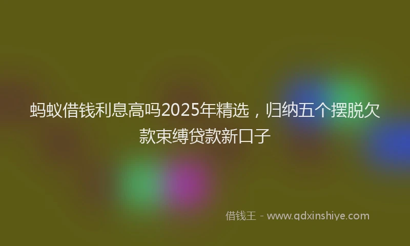 蚂蚁借钱利息高吗2025年精选，归纳五个摆脱欠款束缚贷款新口子