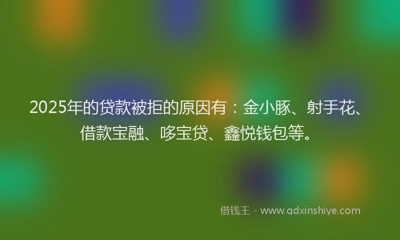 2025年的贷款被拒的原因有：金小豚、射手花、借款宝融、哆宝贷、鑫悦钱包等。
