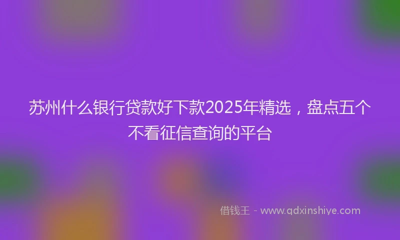 苏州什么银行贷款好下款2025年精选，盘点五个不看征信查询的平台