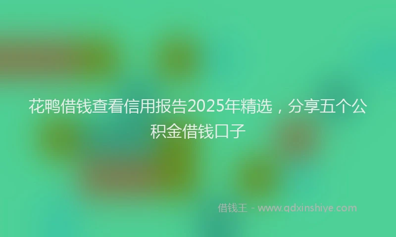 花鸭借钱查看信用报告2025年精选，分享五个公积金借钱口子