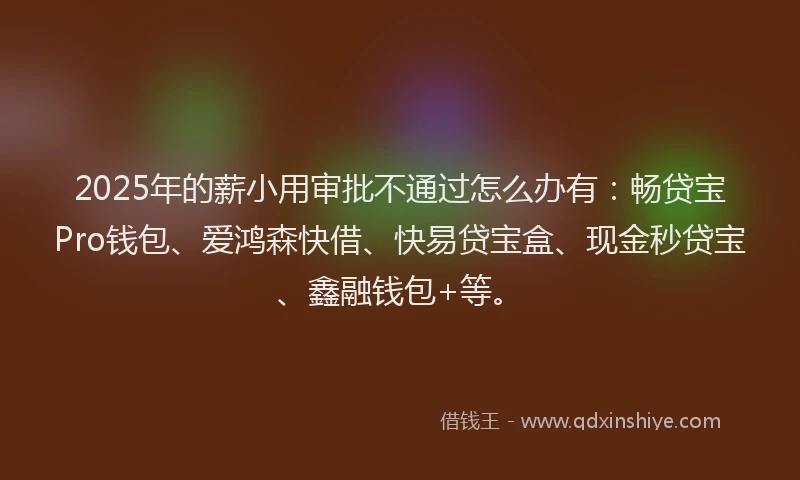 2025年的薪小用审批不通过怎么办有：畅贷宝Pro钱包、爱鸿森快借、快易贷宝盒、现金秒贷宝、鑫融钱包+等。