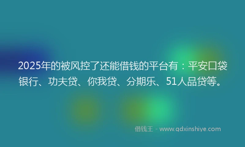 2025年的被风控了还能借钱的平台有：平安口袋银行、功夫贷、你我贷、分期乐、51人品贷等。