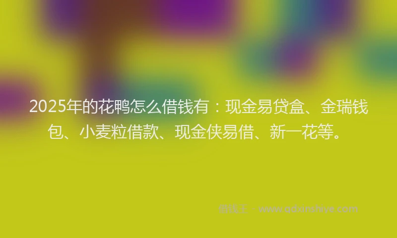 2025年的花鸭怎么借钱有：现金易贷盒、金瑞钱包、小麦粒借款、现金侠易借、新一花等。