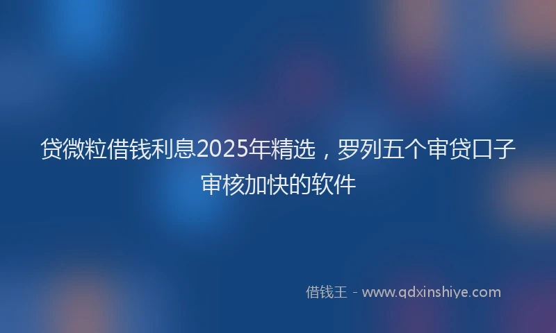 贷微粒借钱利息2025年精选，罗列五个审贷口子审核加快的软件