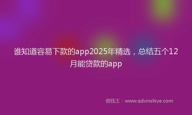 谁知道容易下款的app2025年精选，总结五个12月能贷款的app