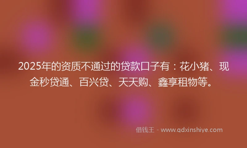 2025年的资质不通过的贷款口子有：花小猪、现金秒贷通、百兴贷、天天购、鑫享租物等。